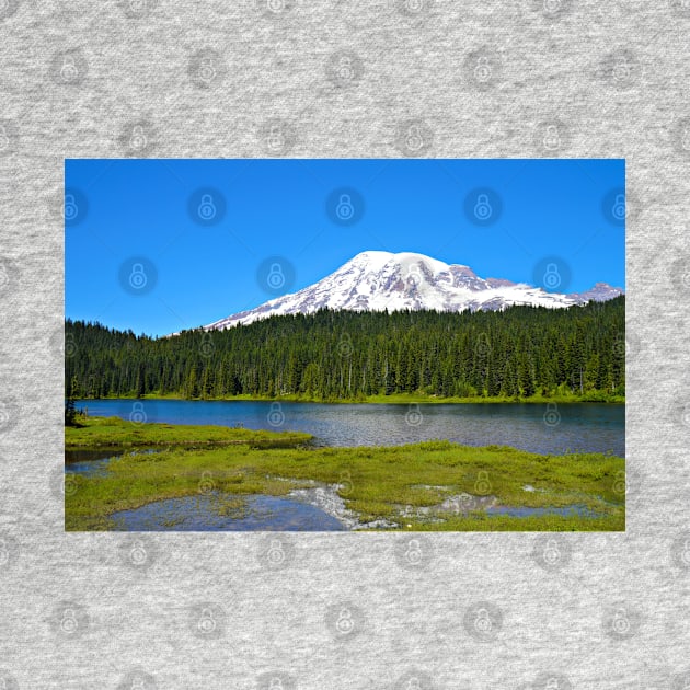 Reflection Lakes/Mt. Rainier by kchase